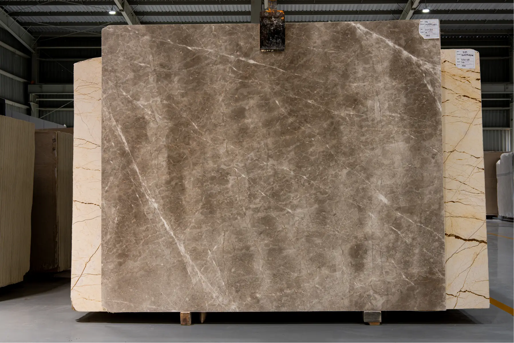 caspion_grey_1_1x